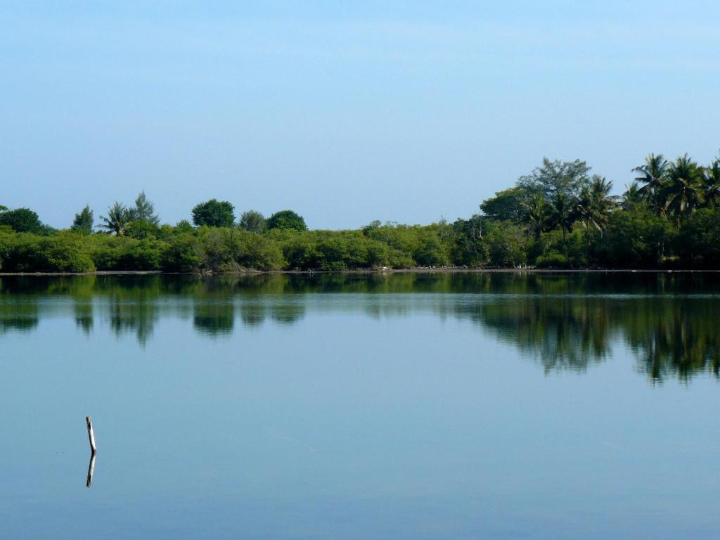 Gili Garden Bungalow Гілі-Мено Екстер'єр фото